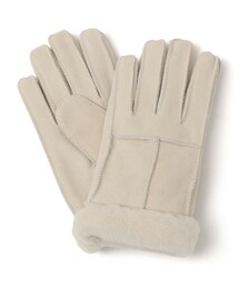 Casselini(LZ[j)casselini: nM [g O[u()