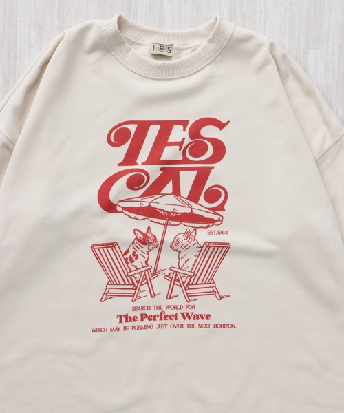 The Endless Summer(エンドレスサマー)の「TES LADIES CALIF STYLE UP SWEAT / レディース スタイルアップスウェット(スウェット・メンズ・サックスブルー/アイボリー/グレー・FREE)」の7枚目の写真
