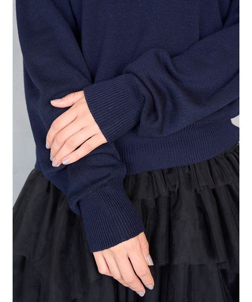 SNIDEL(スナイデル)の「リボンベアスキッパーニットプルオーバー(ニット/セーター・レディース・ネイビー/レッド/アイボリー・F)」の20枚目の写真