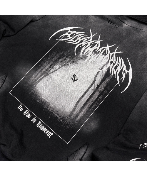 SCHISM INDUCING(スキズムインデューシング)の「EMO HOODIE CHARCOAL(パーカー・レディース・その他・MEDIUM/LARGE)」の9枚目の写真