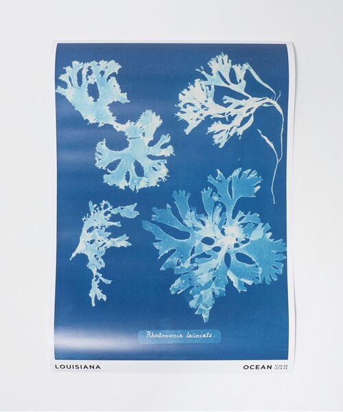 UNITED ARROWS(ユナイテッドアローズ)の「<LOUISIANA MUSEUM OF MODERN ART>POSTERS A2(ポスター/アート・レディース・その他4/その他7/その他6/その他1/その他5/その他2/その他3・FREE)」の5枚目の写真