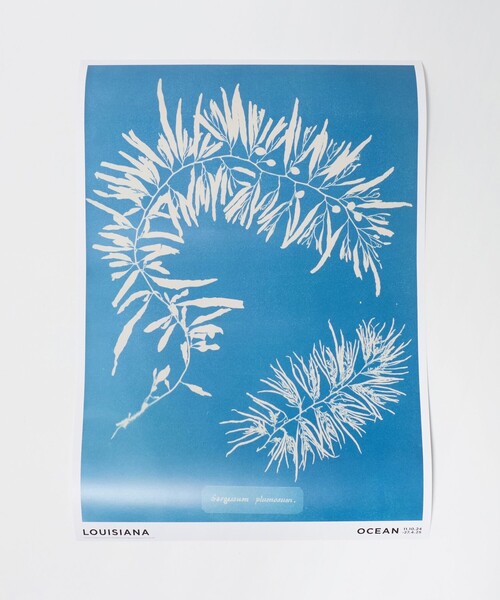 LOUISIANA MUSEUM OF MODERN ART＞POSTERS A2（ポスター/アート