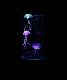 entre square(�A���g���X�N�G�A�[)��LEADWORKS/�W�F���[�t�B�b�V�������v(�Ɩ�)