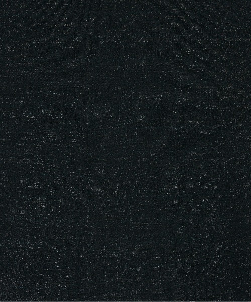 HAKUJI(ハクジ)の「<HAKUJI> SHINY RIB LONG SLEEVE PULLOVER / シャイニーリブ ロングスリーブ プルオーバー(Tシャツ/カットソー・レディース・ブラウン/ブラック・1)」の7枚目の写真