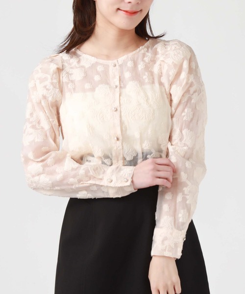 archives(アルシーヴ)の「オーガンジャガードカーディガン(シャツ/ブラウス・レディース・ブラック/アイボリー/オフホワイト/ミント・MEDIUM)」の12枚目の写真