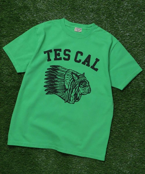The Endless Summer(エンドレスサマー)の「TES BUHI SCOUT T-SHIRT / Tシャツ(Tシャツ/カットソー・メンズ・ケリーグリーン/ホワイト/サーモンピンク/ターコイズブルー・SMALL/MEDIUM/LARGE/X-LARGE)」の3枚目の写真