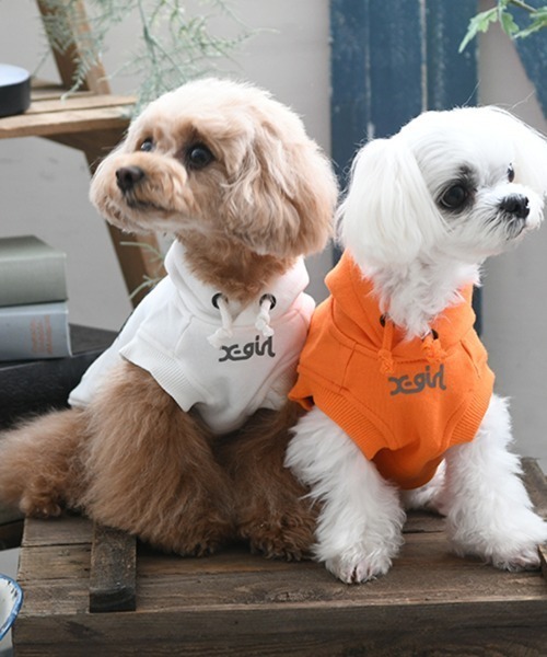 X-girl(エックスガール)の「X-girl/ホライゾンミルズロゴフーディー(ペットウェア・レディース・オレンジ/ホワイト・3M/2L/3S/S/3L/L/XS/M)」の12枚目の写真