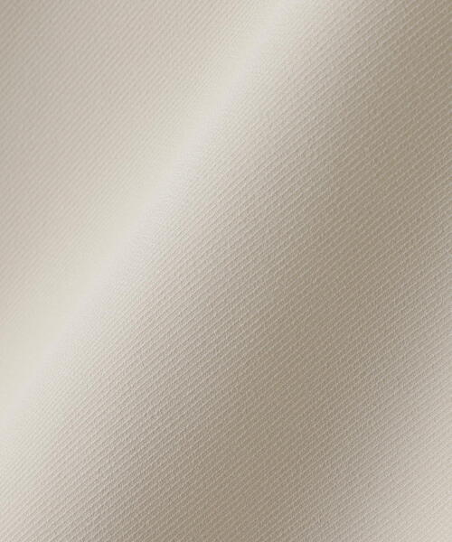 N.（N. Natural Beauty Basic）（エヌエヌナチュラルビューティーベーシック）の「◆バンドカラーラッフル長袖ブラウス（シャツ/ブラウス・レディース・チャコールグレー/ホワイト/ライトグリーン/グレー系その他・MEDIUM）」の21枚目の写真