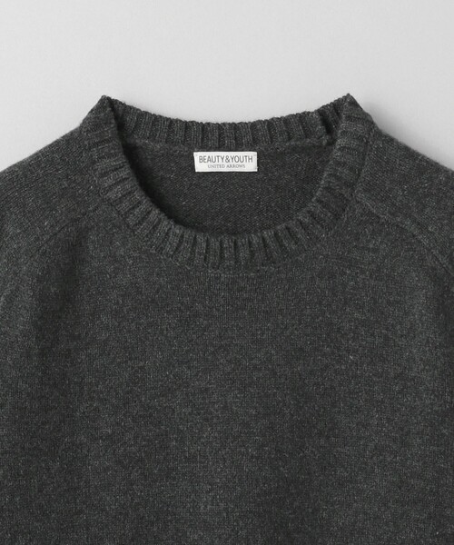 BEAUTY&YOUTH UNITED ARROWS(ビューティーアンドユースユナイテッドアローズ)の「スーパージーロン ウール クルーネック ニット(ニット/セーター・メンズ・クリーム/その他1/ライトグレー/ダークグレー・M/L/S/XL)」の11枚目の写真