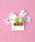 ActuallyiAN`A[j́uKIDS HAIR PIN@{ƂۂۂiwAsjvbO[n̑2
