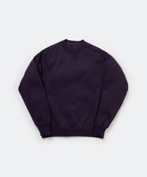 DAIWA PIER39(_CsA39)DAIWA PIER39 TECH SWEAT CREW FREEDOM SLEEVE BE-51025W(XEFbg)