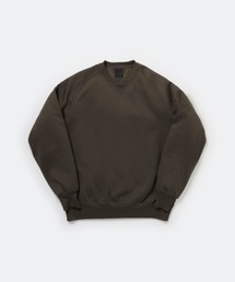 DAIWA PIER39 TECH SWEAT CREW FREEDOM SLEEVE BE-51025W