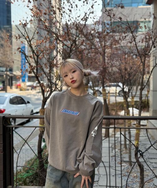 WMC(ダブリューエムシー)の「スネークブルー スウェット_CHARCOAL GREY(スウェット・メンズ・チャコールグレー・SMALL/MEDIUM/LARGE/X-LARGE)」の5枚目の写真