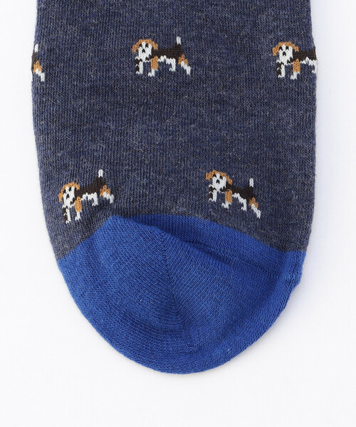COMME CA ISM(コムサイズム)の「ポインター柄 ソックス(ソックス/靴下・メンズ・ブルー/グレー/ブラウン・27cm)」の6枚目の写真