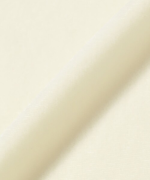 Ray BEAMS(レイビームス)の「サマー ベロア リンガー Tシャツ(Tシャツ/カットソー・レディース・オフホワイト/ピンク/ネイビー・ONE SIZE)」の18枚目の写真