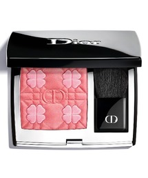 DIOR（ディオール）の「ディオールスキン ルージュ ブラッシュ（フォール コレクション 2026 数量限定品）（チーク）」