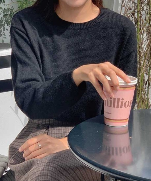 Vipoa（ヴィポア）の「ベーシックニットプルオーバー（ニット/セーター・レディース・ベージュ/ブルー/ブラウン/グレー/ピンク/ブラック・FREE）」の2枚目の写真