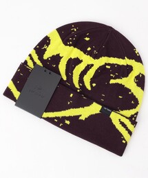 ARC'TERYX | ARC'TERYX/アークテリクス 【販路限定】Lightweight Grotto Toque(ニットキャップ/ビーニー)