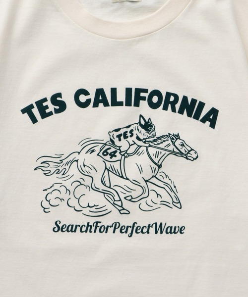 The Endless Summer(エンドレスサマー)の「TES 2026 HORSE RIDE FLOCKY T-SHIRT / Tシャツ(Tシャツ/カットソー・メンズ・ネイビー/ホワイト/ブラック/アイボリー・SMALL/MEDIUM/LARGE/X-LARGE/XX-LARGE)」の15枚目の写真