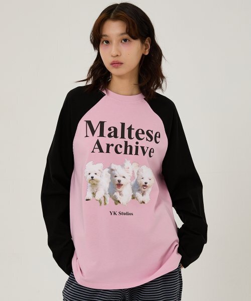 WaiKei(ワイケイ)の「マルチーズアーカイブラグランロングスリーブTシャツピンク(Tシャツ/カットソー・レディース・その他・1/2/0)」の1枚目の写真