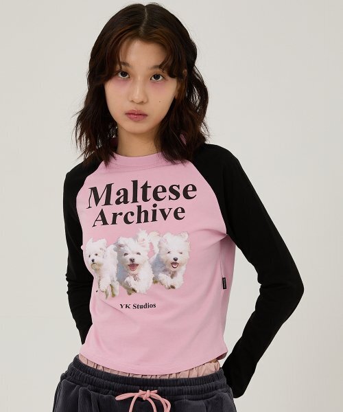 WaiKei(ワイケイ)の「マルチーズアーカイブラグランロングスリーブTシャツピンク(Tシャツ/カットソー・レディース・その他・1/2/0)」の3枚目の写真