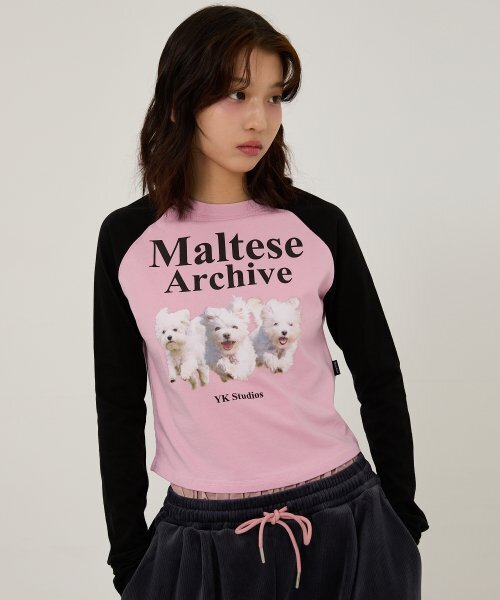 WaiKei(ワイケイ)の「マルチーズアーカイブラグランロングスリーブTシャツピンク(Tシャツ/カットソー・レディース・その他・1/2/0)」の4枚目の写真