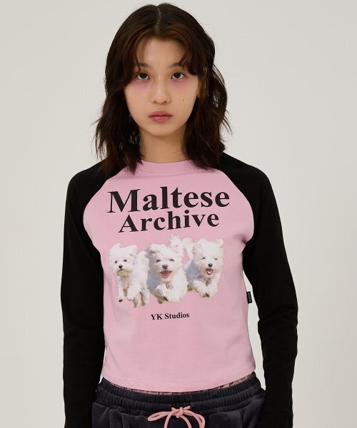 WaiKei(ワイケイ)の「マルチーズアーカイブラグランロングスリーブTシャツピンク(Tシャツ/カットソー・レディース・その他・1/2/0)」の5枚目の写真