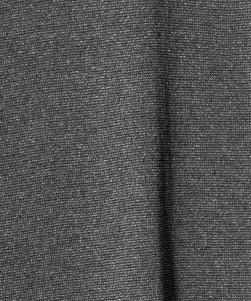 green label relaxing(グリーンレーベルリラクシング)の「シャイニーラメ ショートスリーブ カットソー(Tシャツ/カットソー・レディース・ベージュ/ダークグレー/ライトグレー・FREE)」の21枚目の写真