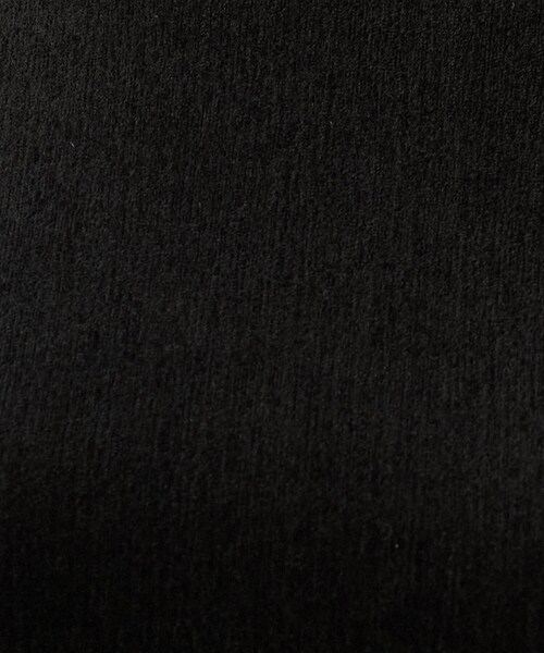 UNTITLED(アンタイトル)の「【重ね着レイヤード】シアーベロアハイネックトップス(Tシャツ/カットソー・レディース・オフホワイト/ブラック/ライトグレー系9/グリーン系・04/44/48/02/00)」の17枚目の写真