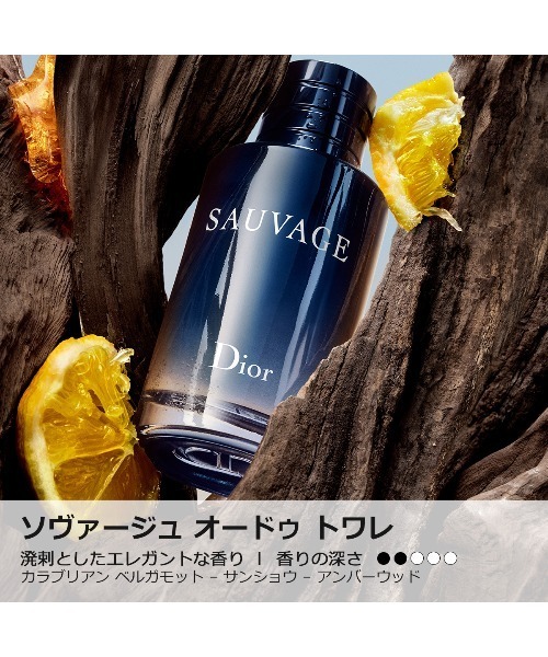 Dior Sauvage オードゥ トワレ 60ml ギフト、サンプル付き ソヴァージュ オードゥ トワレ(60mL)（香水）｜DIOR（ディオール