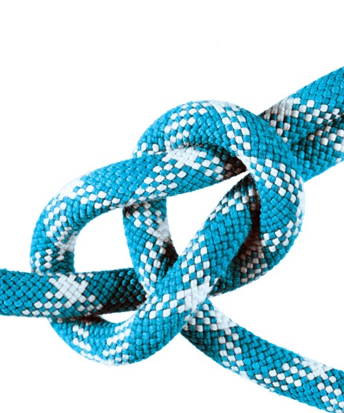 CIAOPANIC TYPY(チャオパニックティピー)の「【ZOKU/ゾク】コアボトル 475ml(グラス/マグカップ/タンブラー・レディース・パープル/レッド/ブルー/グリーン・ONE SIZE)」の20枚目の写真