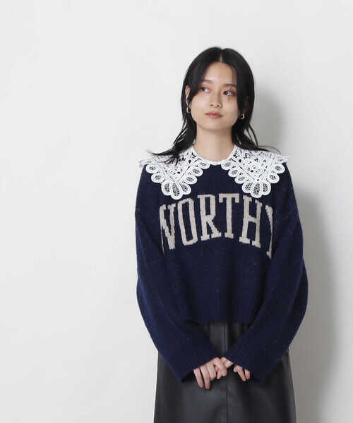 NATURAL BEAUTY BASIC（ナチュラルビューティーベーシック）の「バテンレースカラーチョーカー（付け襟・レディース・ホワイト/ブラック・ﾌﾘ-）」の4枚目の写真