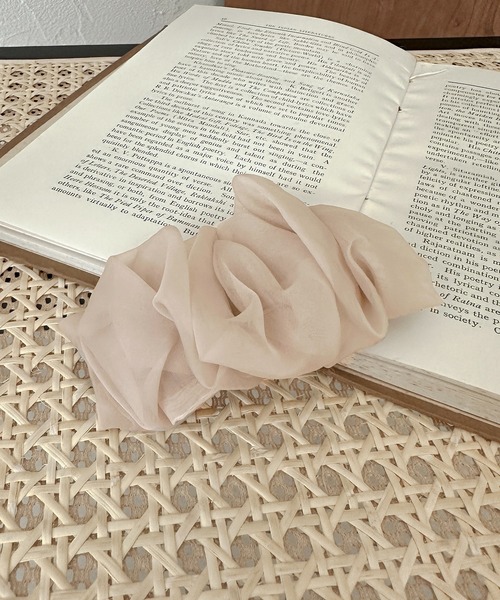 apres jour clair（アプレジュールクレア）の「【apres jour clair×ARIAZ】シアーヘアクリップ（バレッタ/ヘアクリップ・レディース・アイボリー/ダークブラウン/イエロー系その他/グレイッシュベージュ/ブラック/ピンクベージュ・FREE）」の11枚目の写真