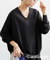 antiqua(AeBJ)̃nCQ[Wjbg(jbg/Z[^[)