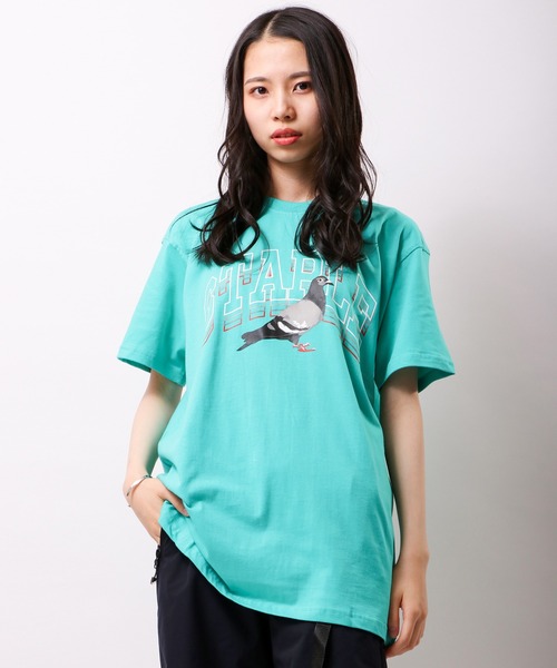 staple（ステイプル）の「STAPLE ピジョン＆ロゴプリント 半袖Tシャツ（Tシャツ/カットソー・メンズ・ホワイト/ブラック/オレンジ/ミント・2XL/XL/M/L）」の14枚目の写真