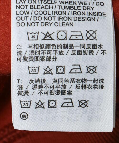 NIKE ACG（ナイキエィシージー）の「＜NIKE ACG(ナイキ エーシージー)＞ HOODIE/フーディ（パーカー・メンズ・その他1・M/L/XL）」の7枚目の写真