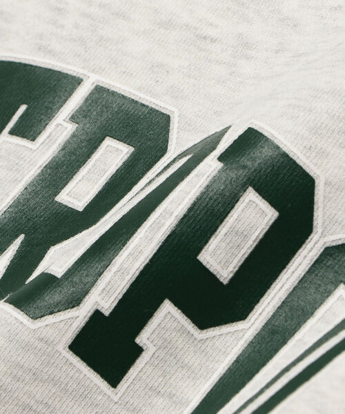 BeAMS DOT（ビームスドット）の「【WEB限定】BeAMS DOT / カレッジロゴ オーバースウェット（スウェット・レディース・グレー/ネイビー・FREE）」の19枚目の写真