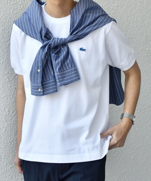 LACOSTE（ラコステ）の「【SHIPS any別注】LACOSTE: ワンポイント ロゴ ピケ クルーネック Tシャツ 25SS◇（Tシャツ/カットソー・メンズ・ホワイト/ライトグリーン/ネイビー・SMALL/MEDIUM/LARGE/X-LARGE/XX-LARGE）」の6枚目の写真