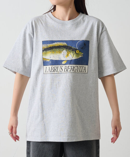 CIAOPANIC TYPY（チャオパニックティピー）の「【UNISEX】レトロ魚TEE（Tシャツ/カットソー・レディース・ホワイト/イエロー/グレー/チャコールグレー・MEDIUM/LARGE）」の13枚目の写真