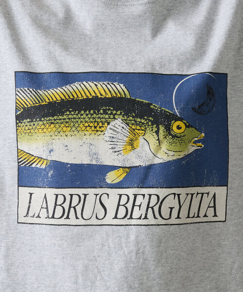 CIAOPANIC TYPY（チャオパニックティピー）の「【UNISEX】レトロ魚TEE（Tシャツ/カットソー・レディース・ホワイト/イエロー/グレー/チャコールグレー・MEDIUM/LARGE）」の9枚目の写真