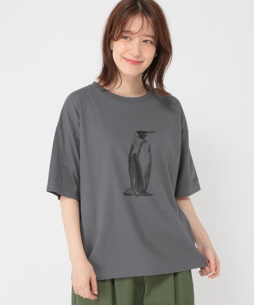 studio CLIP(スタディオクリップ)の「【UVカット・汗染み防止】アソートアニマルプリントTシャツ(Tシャツ/カットソー・レディース・スモーク/ピンク/グリーン/ベージュ/ブルー/ナチュラル・LARGE/MEDIUM)」の9枚目の写真