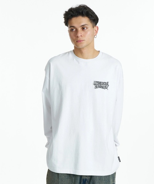 DC SHOES(ディーシーシューズ)の「DC SHOES メンズ 26 HIDDEN LS ロンT 【2026年秋冬モデル】/バックプリント長袖ロンT(Tシャツ/カットソー・メンズ・ホワイト×ブルー/ブラック×ホワイト/ブラック系その他/ホワイト系その他・MEDIUM/LARGE/X-LARGE)」の6枚目の写真