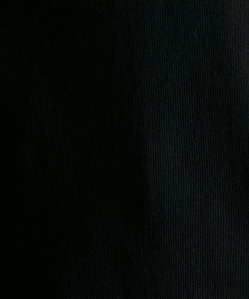 Russell Athletic（ラッセルアスレティック）の「［ラッセルアスレチック］SC RUSSELL ｾﾝﾀｰﾛｺﾞ Tシャツ（Tシャツ/カットソー・メンズ・ホワイト/ブラック/ライトブルー・M/S/L）」の7枚目の写真