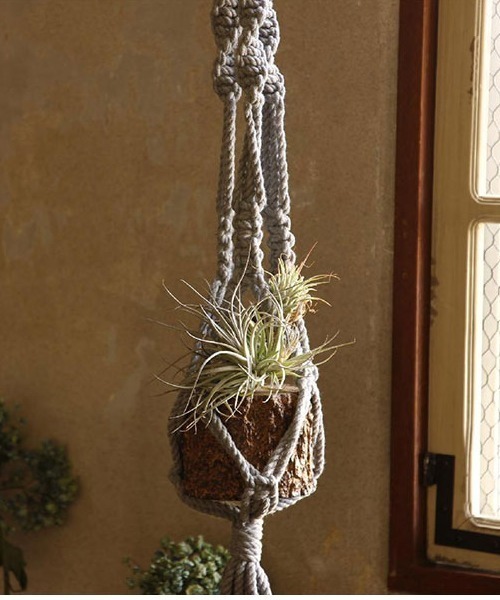 マクラメプラントハンギング グレー インテリア雑貨 George S ジョージズ のファッション通販 Zozotown マクラメプラントハンギング グレー インテリア雑貨 George S ジョージズ のファッション通販 Zozotown