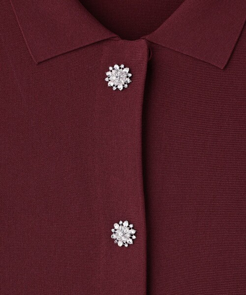 GRACE CONTINENTAL（グレースコンチネンタル）の「ビジューニットベスト（ベスト・レディース・ブラック/ボルドー・38/36）」の22枚目の写真