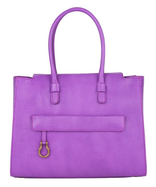 レディライトトート・リザード