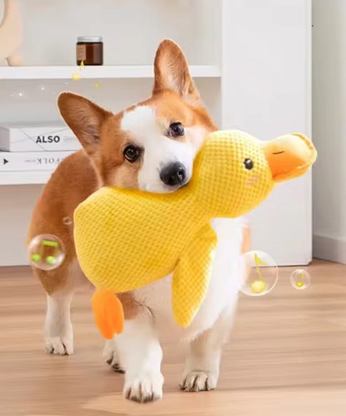 NOLITA LABORATORY（ノリータラボラトリー）の「【 NOLITA / ノリータ 】犬用おもちゃ 音が鳴るアヒルのぬいぐるみ かわいい 丈夫 洗える 犬用のぬいぐるみ 28センチタイプ（ペット用おもちゃ・レディース・イエロー・FREE）」の2枚目の写真