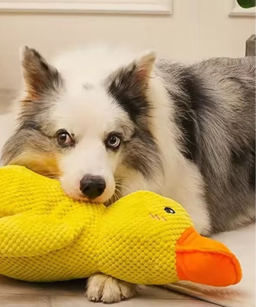 NOLITA LABORATORY（ノリータラボラトリー）の「【 NOLITA / ノリータ 】犬用おもちゃ 音が鳴るアヒルのぬいぐるみ かわいい 丈夫 洗える 犬用のぬいぐるみ 28センチタイプ（ペット用おもちゃ・レディース・イエロー・FREE）」の3枚目の写真