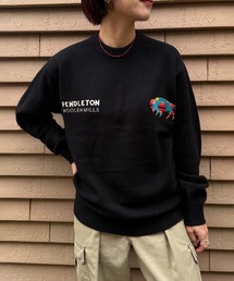 【PENDLETON】≪別注≫ ペンドルトン ロイヤルウール ワンポイント刺繍プルオーバーニット ユニセックス