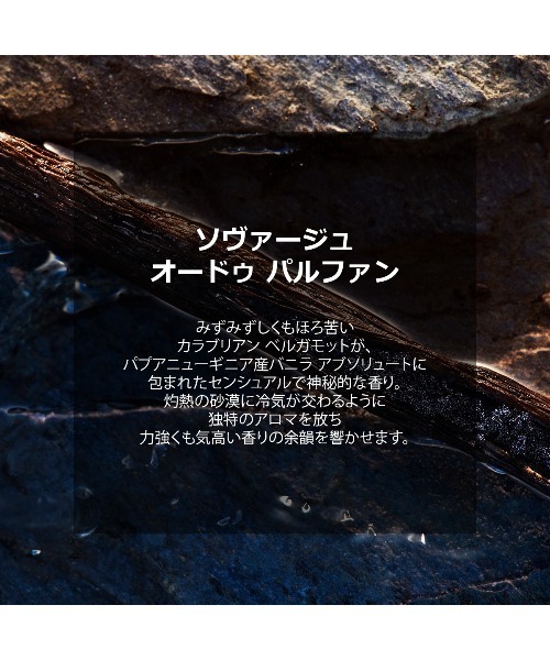 ソヴァージュ オードゥ パルファン(100mL)（香水）｜DIOR（ディオール